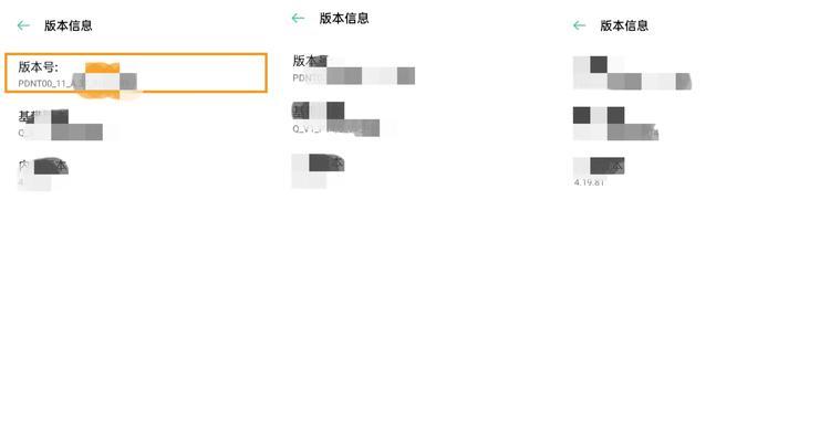如何关闭OPPO手机的开发者选项（简单操作让您关闭开发者选项，保障手机安全）