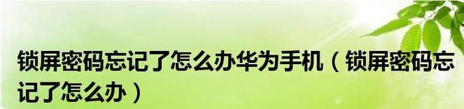 华为手机忘记锁屏密码解决方法（忘记华为手机锁屏密码怎么办？华为手机密码找程分享）
