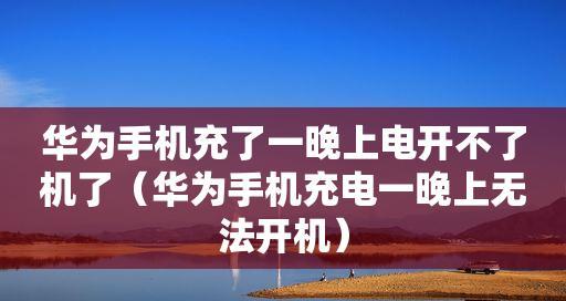 手机充电无法充电的原因分析（探究手机无法充电的可能因素及解决方案）