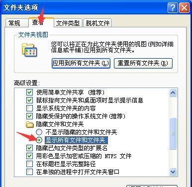 探寻隐藏文件和文件夹的秘密（揭开隐藏的宝藏）