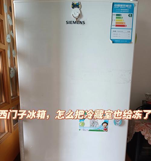 解决冰箱保鲜仓结冰问题的有效方法（如何防止冰箱保鲜仓结冰）