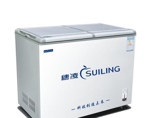 裕菱冰柜故代码（探索裕菱冰柜故代码背后的秘密）