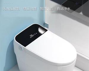 杜拉维特马桶反味原因及解决办法（探寻杜拉维特马桶为何反味）