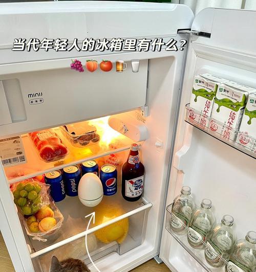 冰箱排水孔堵塞解决方法（轻松应对冰箱排水孔堵塞问题）