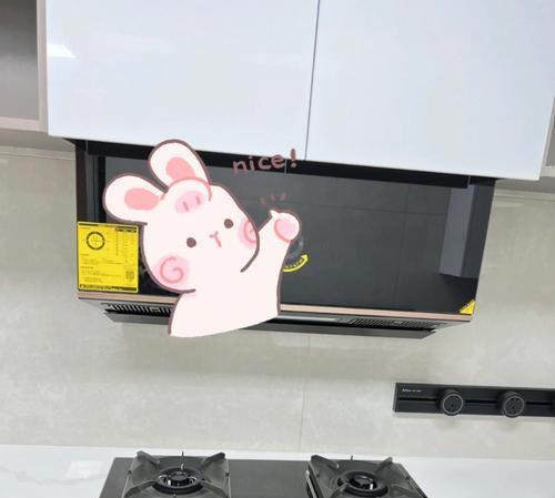 如何解决抽油烟机顶吸滴油问题（滴油原因分析及解决方法）
