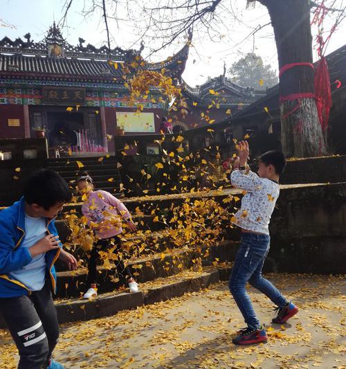 如何删除滴行程记录（一步步教你清除不需要的出行记录）
