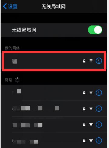 iPhone手机查看WiFi密码的方法（轻松获取已连接网络的密码）