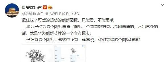 免费网上申请注册条件解析（了解注册条件的关键要点）