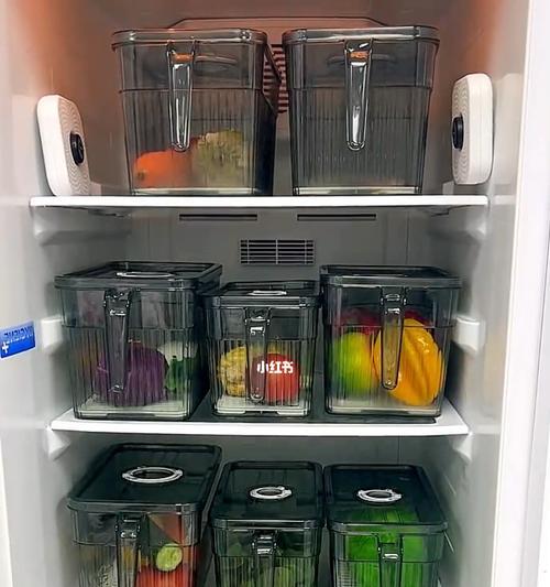冰柜异味问题解决方法（有效消除冰柜异味）