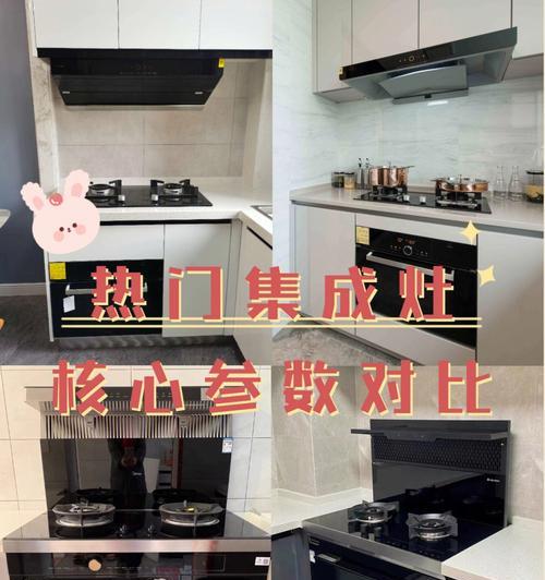 如何处理安装了集成灶的烟道问题（解决集成灶烟道问题的有效方法和技巧）