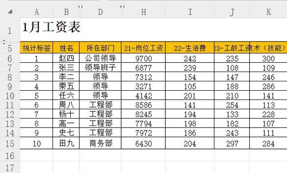 如何使用Excel分类统计函数？常见问题有哪些？