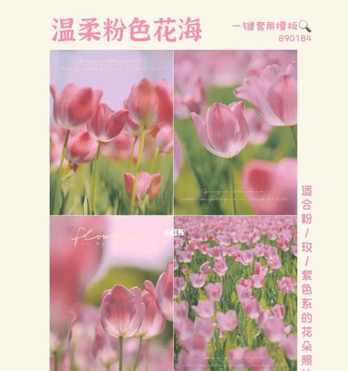 手机无滤镜拍摄技巧有哪些？