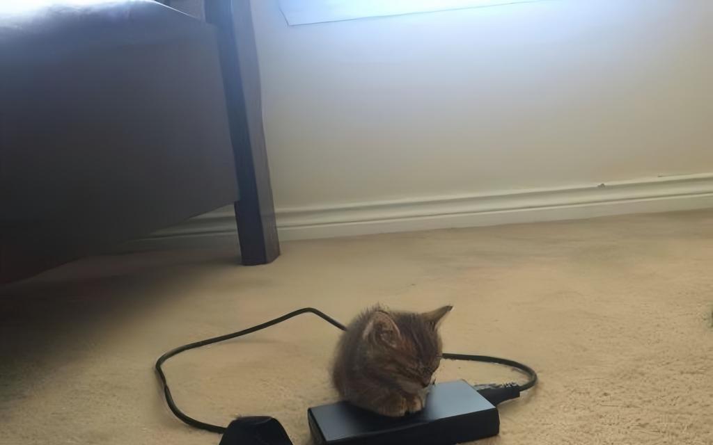 猫咪充电器的工作原理是什么？