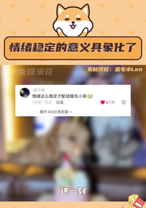 荣耀手机壳情绪稳定功能如何开启？设置步骤是什么？